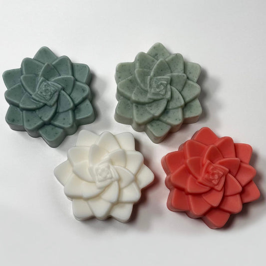 Succulent Soap Bundle